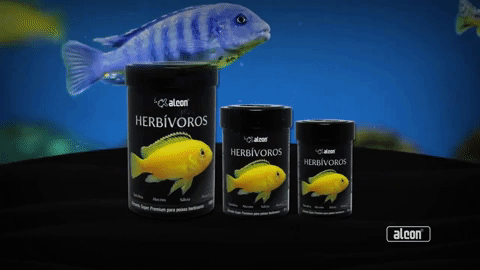 folder Alcon Herbívoros