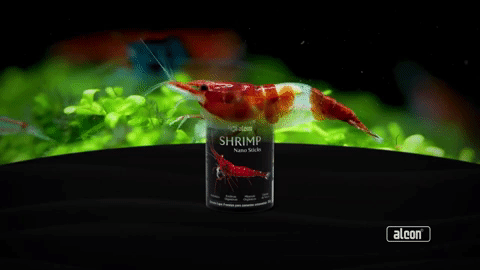 folder Alcon Shrimp Nano Sticks