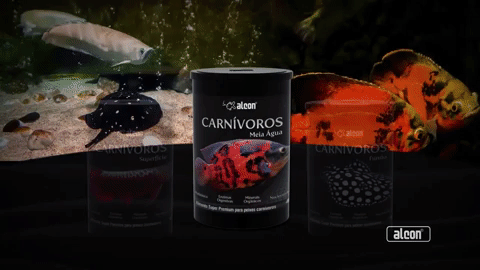 folder Alcon Carnívoros Superfície